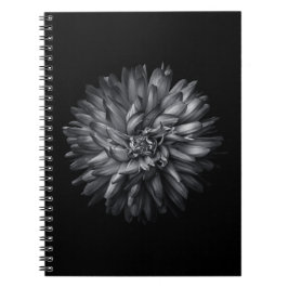 Caderno Espiral Flores De Quintal A Preto E Branco 20