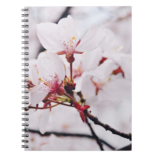 CADERNO ESPIRAL FLORES DE SANGUE DE CHERRY EM MACRO (Frente)