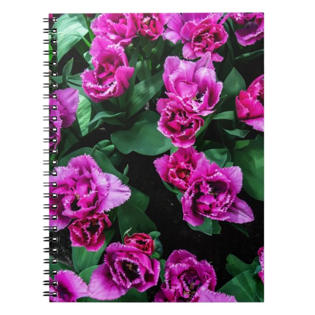 Caderno Espiral Flores de tulipas rosa (Frente)