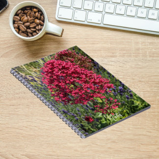 Caderno Espiral Flores de Valeriana Vermelha Floral