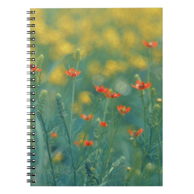 Caderno Espiral Flores De Verão (Campo Floral) (Flores Vermelhas) (Frente)