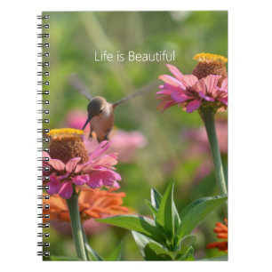 Caderno Espiral Flores de Zínia Rosa Beija-flor (minha fotografia)