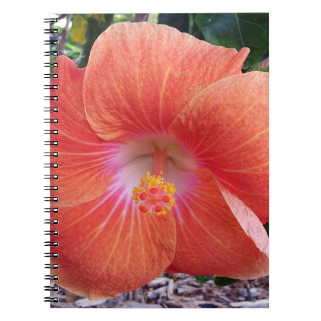 Caderno Espiral Flores do hibiscus de Havaí (Frente)