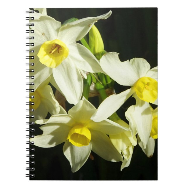 Caderno Espiral Flores do inverno (Frente)