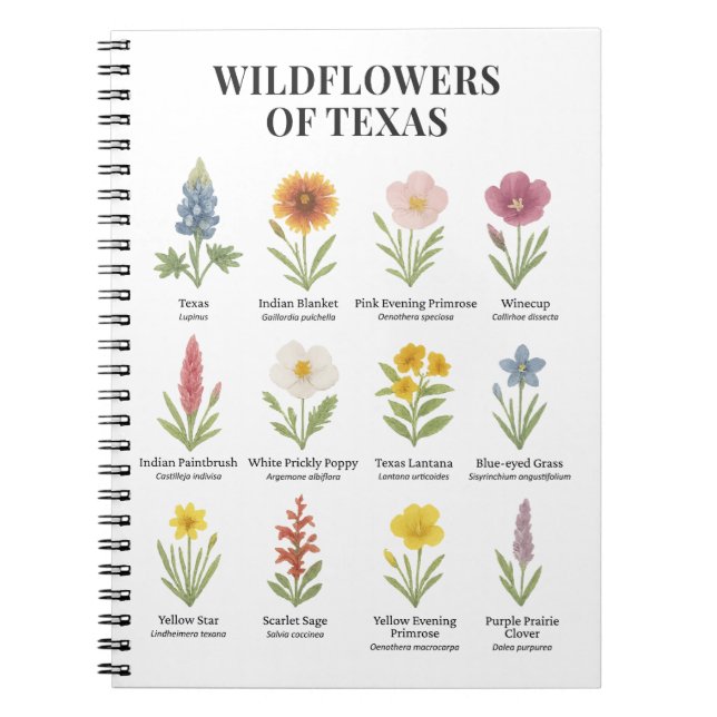 Caderno Espiral Flores do Texas em Estilo de Aquarela (Frente)