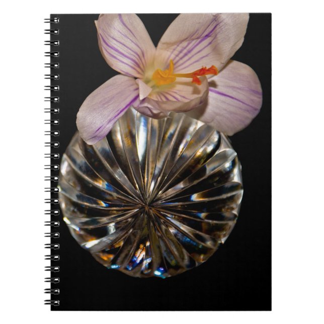 Caderno Espiral Flores e Cristal (Frente)
