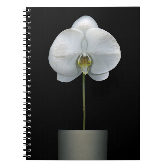 Caderno Espiral Flores | Flor Orquídea Branca (Frente)