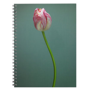 Caderno Espiral Flores Flor Solteiro