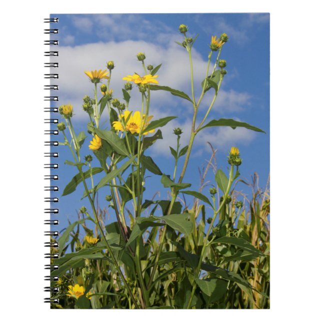 Caderno Espiral Flores Florais, Flores Selvagens (Frente)