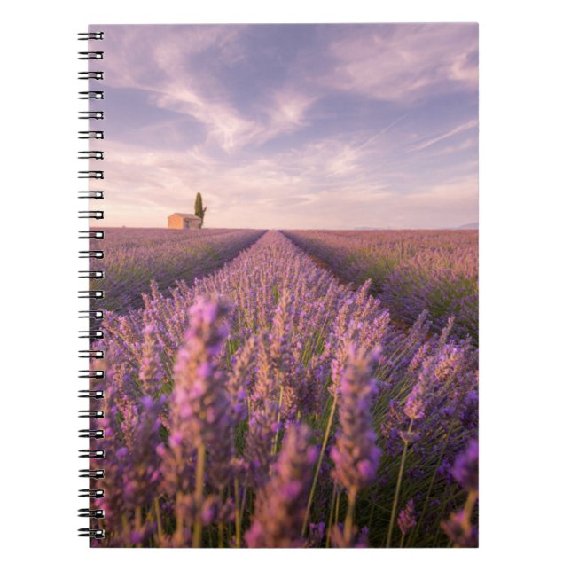 Caderno Espiral Flores | França Lavanda do Sul (Frente)