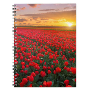 Caderno Espiral Flores Jardim Botânico Holanda