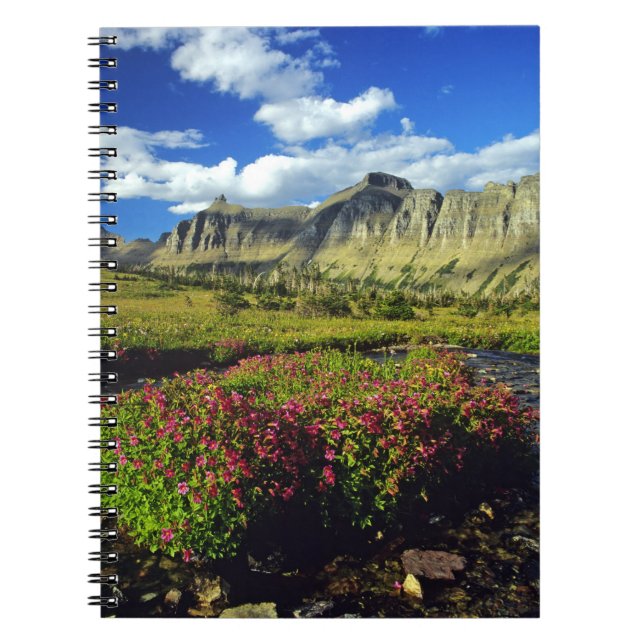 Caderno Espiral Flores-macacos no Logan Pass na Glacier National (Frente)