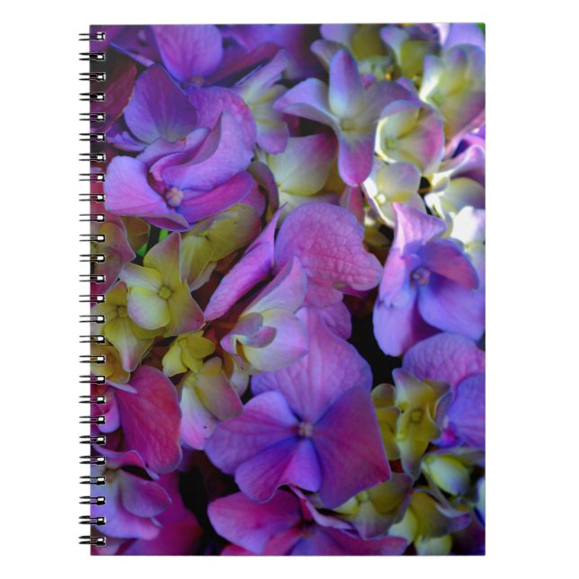 Caderno Espiral Flores magenta púrpura amarelas Hydrangas (Frente)
