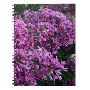 Caderno Espiral Flores magenta roxas profundas elegantes flores li