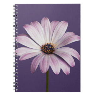 Caderno Espiral Flores Margarida Branca e Roxa