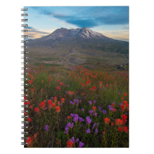 Caderno Espiral Flores Pincel-da-índia