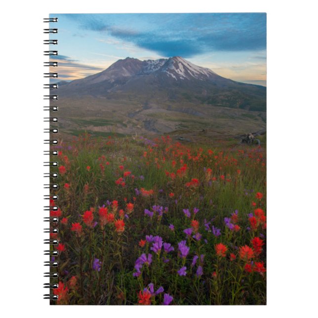 Caderno Espiral Flores | Pincel-da-índia (Frente)