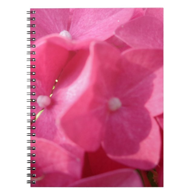Caderno Espiral flores rosa (Frente)