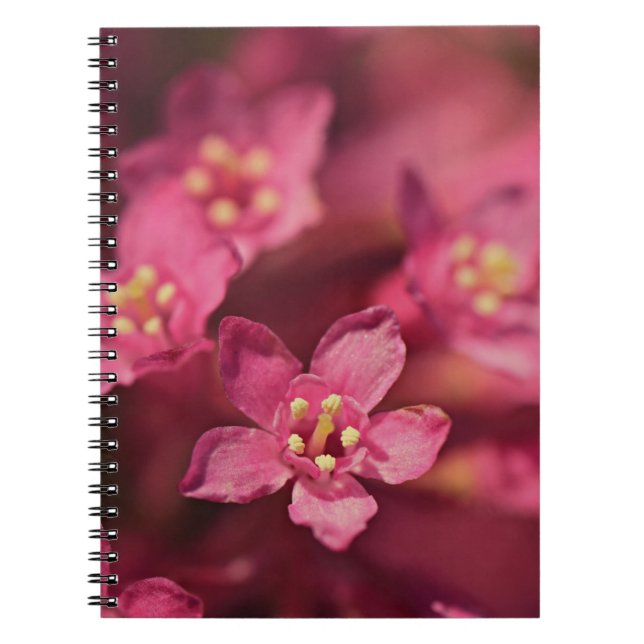 Caderno Espiral Flores Rosa Bonitas (Frente)