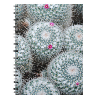 Caderno Espiral Flores Rosa Pequenas Plantas De Cactus