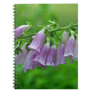 Caderno Espiral Flores roxas