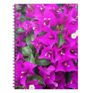 Caderno Espiral Flores roxas vibrantes do Bougainvillea