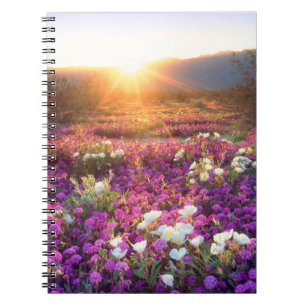 Caderno Espiral Flores silvestres ao pôr do sol Deserto de Anza-