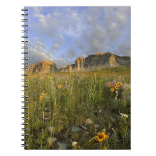 Caderno Espiral Flores Silvestres da Pradaria no Many Glacier Vall