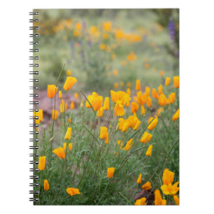 Caderno Espiral flores silvestres lindas e perfumadas que crescem
