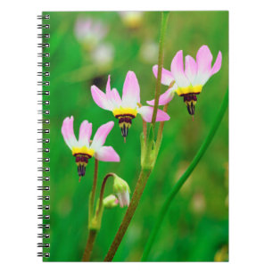 Caderno Espiral Flores Silvestres Shooting Star no Parque Mission