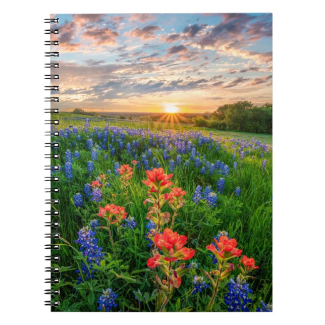 Caderno Espiral Flores | Texas Bluebonnets e Pincel da Índia (Frente)