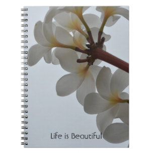 Caderno Espiral Flores Tropicais de Plumeria Kauai (minha fotograf