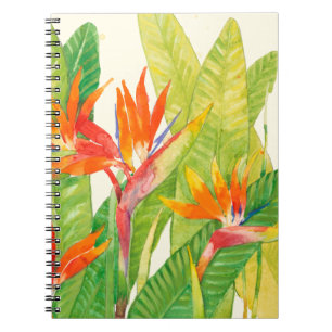 Caderno Espiral Flores Tropicais   Pássaro do Paraíso