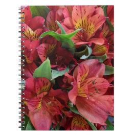 Caderno Espiral Flores vermelhas