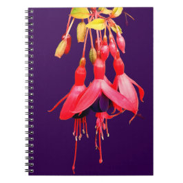 Caderno Espiral Flores vermelhas e roxas