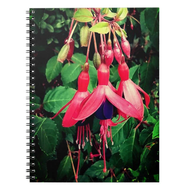 Caderno Espiral Flores vermelhas e roxas (Frente)