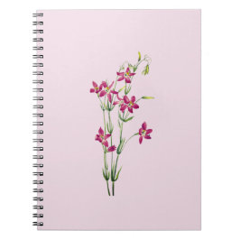 Caderno Espiral Flores Vintage - Centaurium por Mary Vaux Walcott