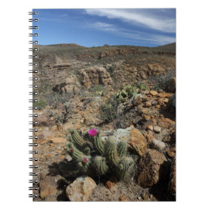 Caderno Espiral Florescência do cacto