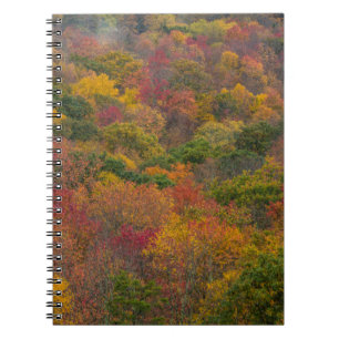 Caderno Espiral Floresta de Madeira em Randolph County, Virgínia O
