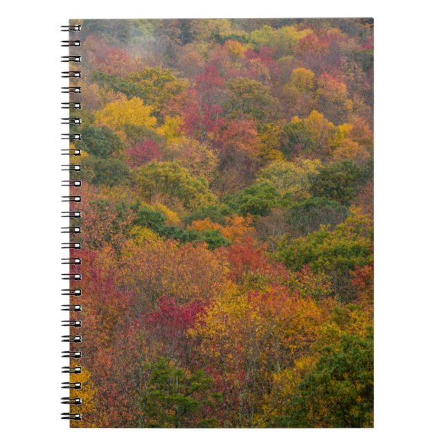 Caderno Espiral Floresta de Madeira em Randolph County, Virgínia O (Frente)