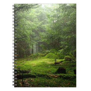 Caderno Espiral Floresta de Sterious