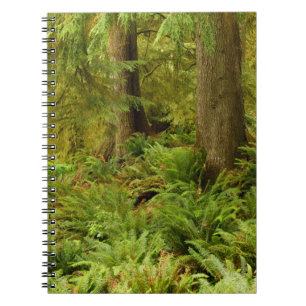 Caderno Espiral Floresta Exuberante & Samambaias Parque Estadual