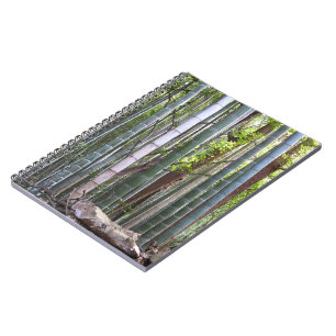 Caderno Espiral Floresta Gigante de Bambu Japonês, Sagano, Quioto,
