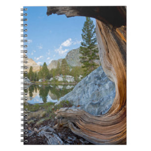 Caderno Espiral Floresta Nacional de Inyo, Califórnia