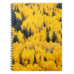 Caderno Espiral Floresta Nacional de White River Aspen, Colorado