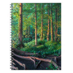 Caderno Espiral Floresta no verão