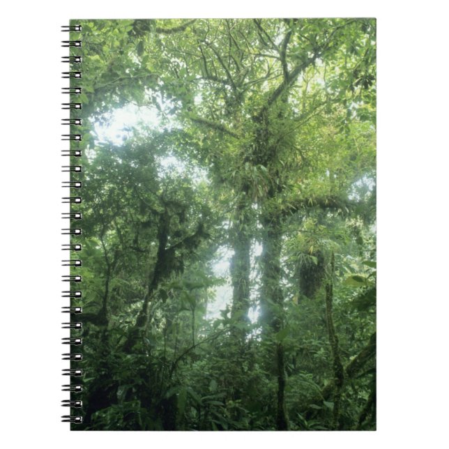 Caderno Espiral Floresta Nuvem Monteverde, Costa Rica. (Frente)