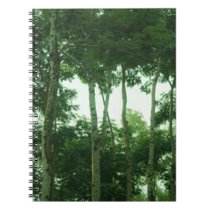 Caderno Espiral Floresta tropical