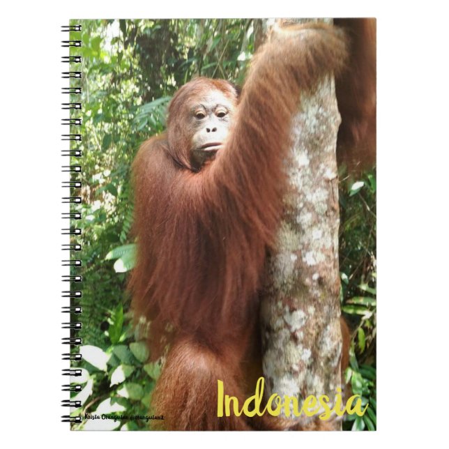 Caderno Espiral Floresta Tropical de Borneo Orangutan (Frente)