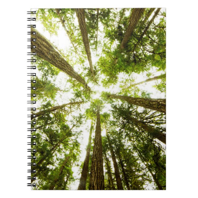 Caderno Espiral Floresta Verde Esmagadora (Frente)